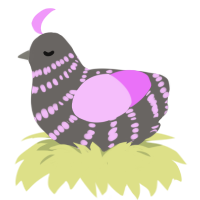 The Mother Superior, a grey and lavender chicken with a bar pattern