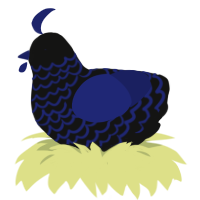 A black and navy chicken with a lace pattern