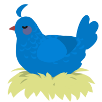 A sapphire chicken with a half-lace pattern