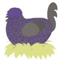 A overcast and grey chicken with a double-lace pattern
