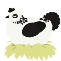 Ender, a white and sable chicken with a neck-speckle pattern