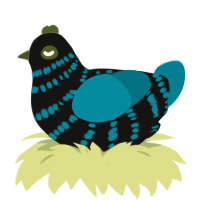 Troy, a black and sea chicken with a bar pattern