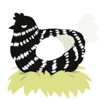 Black and White, a black and white chicken with a bar pattern
