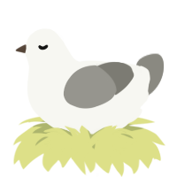 A white and ash chicken