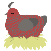 A red and grey chicken with a lace pattern