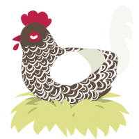 A bark and white chicken with a double-lace pattern