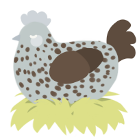 A silver and bark chicken with a speckle pattern