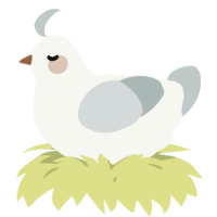 A white and silver chicken