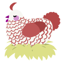 A white and red chicken with a lace pattern