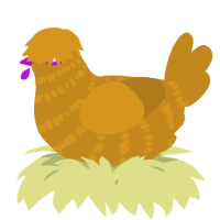 A ochre chicken with a bar pattern