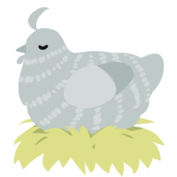 A silver chicken with a bar pattern