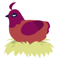 A red and wine chicken with a head pattern