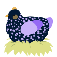 A tumblr and lilac chicken with a speckle pattern