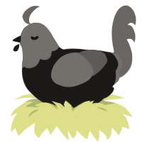 (unnamed), a sable and grey chicken with a head pattern