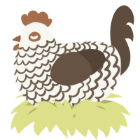 A white and bark chicken with a lace pattern