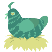 Duncan, a teal and turquoise chicken with a bar pattern