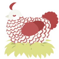 A white and red chicken with a lace pattern
