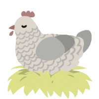 A beige and ash chicken with a lace pattern