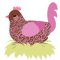 parfait, a russet and pink chicken with a double-lace pattern