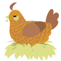 A orange and brown chicken with a lace pattern