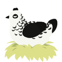 Danger Keep Away, a white and black chicken with a half-lace pattern