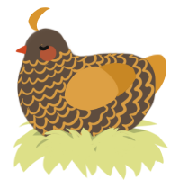 A bark and orange chicken with a lace pattern