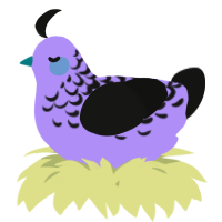 A lilac and black chicken with a half-lace pattern