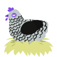 Mary, a silver and black chicken with a lace pattern
