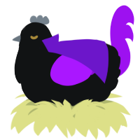 A black and amethyst chicken
