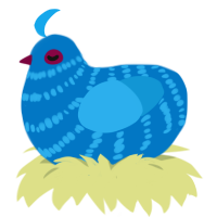 Brook, a sapphire and sky chicken with a bar pattern