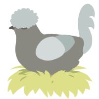 A ash and silver chicken