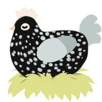 Fleck, a black and silver chicken with a speckle pattern