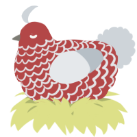 A red and mist chicken with a lace pattern
