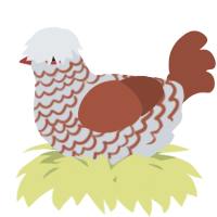 A mist and russet chicken with a lace pattern