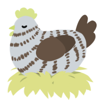 A mist and bark chicken with a bar pattern