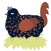 A tumblr and russet chicken with a speckle pattern