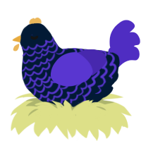 Even Closer, a tumblr and indigo chicken with a lace pattern