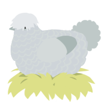 A mist and silver chicken with a lace pattern