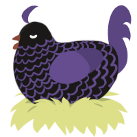 Unraveling, a sable and overcast chicken with a lace pattern