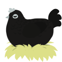 Crowley, a sable and black chicken with a half-lace pattern