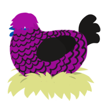 (unnamed), a plum and sable chicken with a lace pattern