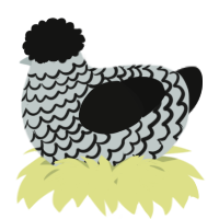 A silver and black chicken with a lace pattern