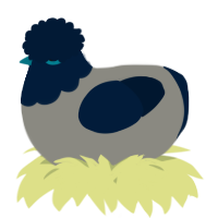 A ash and tumblr chicken with a head pattern