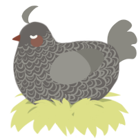 A grey and ash chicken with a double-lace pattern