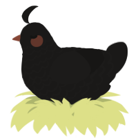 A sable chicken with a lace pattern