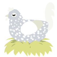 A mist and white chicken with a speckle pattern