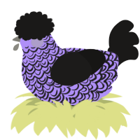 A lilac and sable chicken with a double-lace pattern