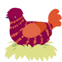 Sunset, a maroon and vermilion chicken with a bar pattern