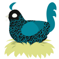Sir Lacelot, a black and sea chicken with a double-lace pattern