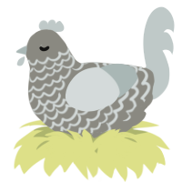 A ash and silver chicken with a lace pattern